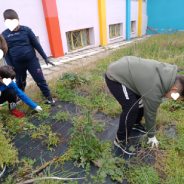 Χρώματα και Αρώματα